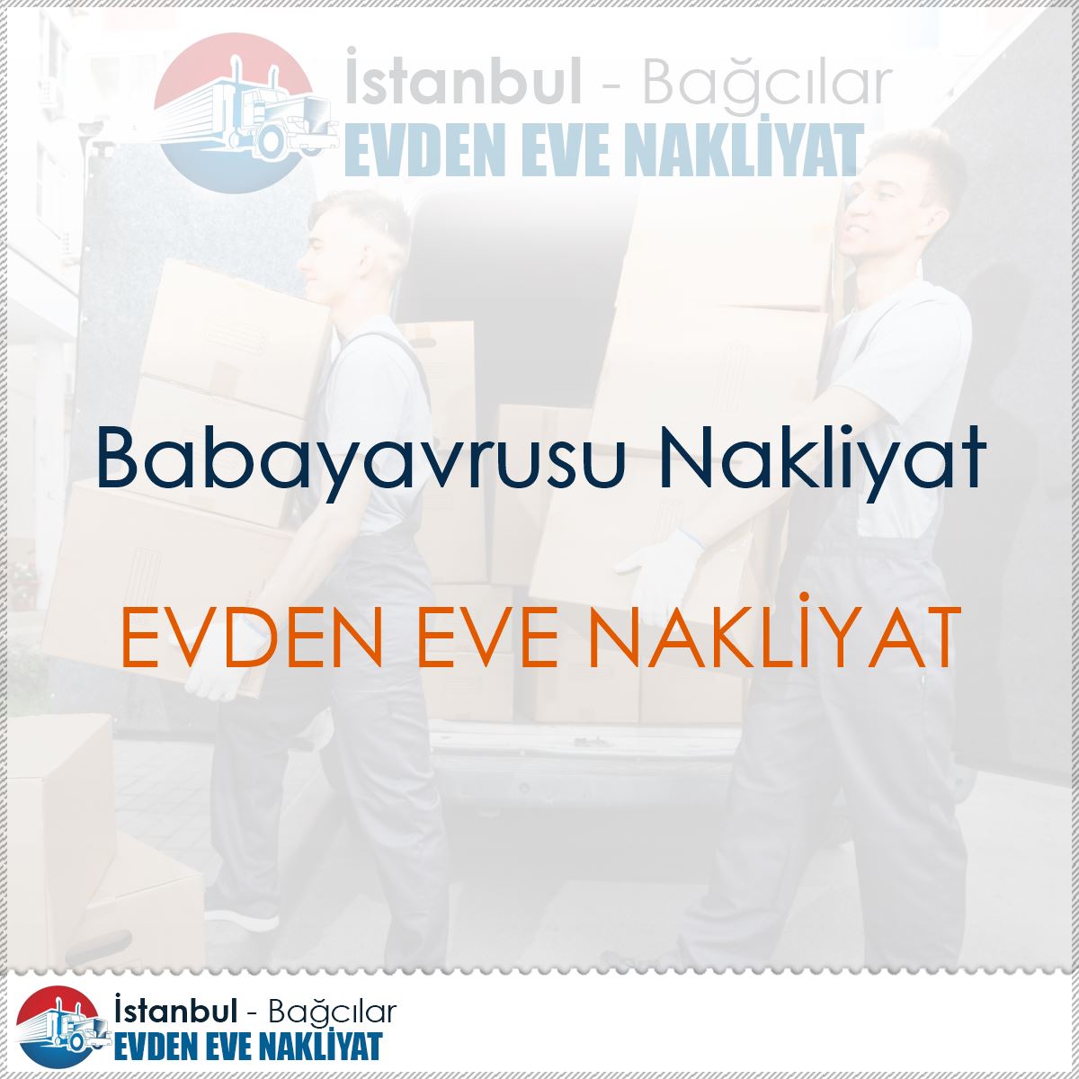 Babayavrusu Nakliyat : Kapak Görseli